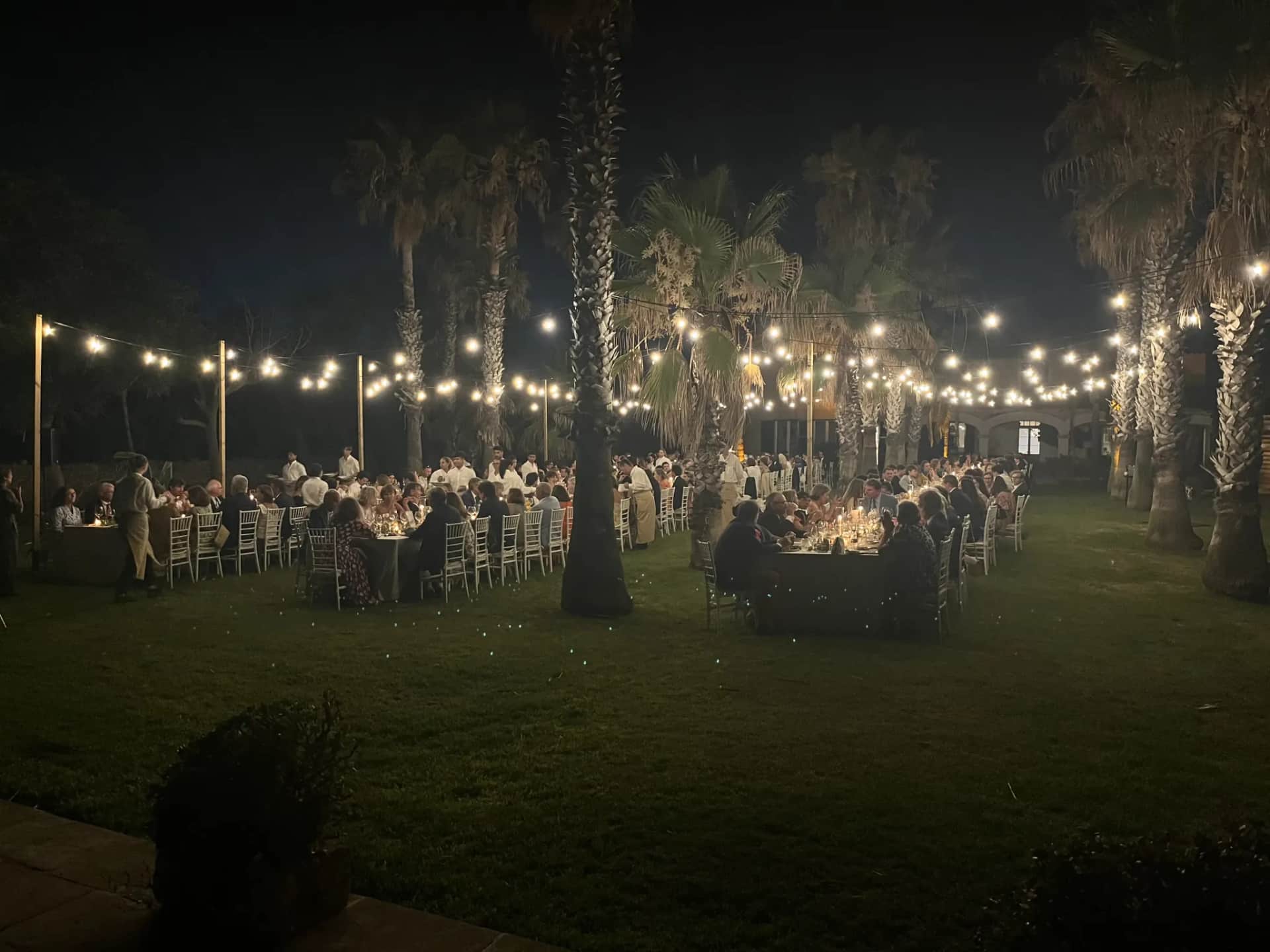 Wedding night under a canopy of festoon lights, guests seated at tables in the palm garden