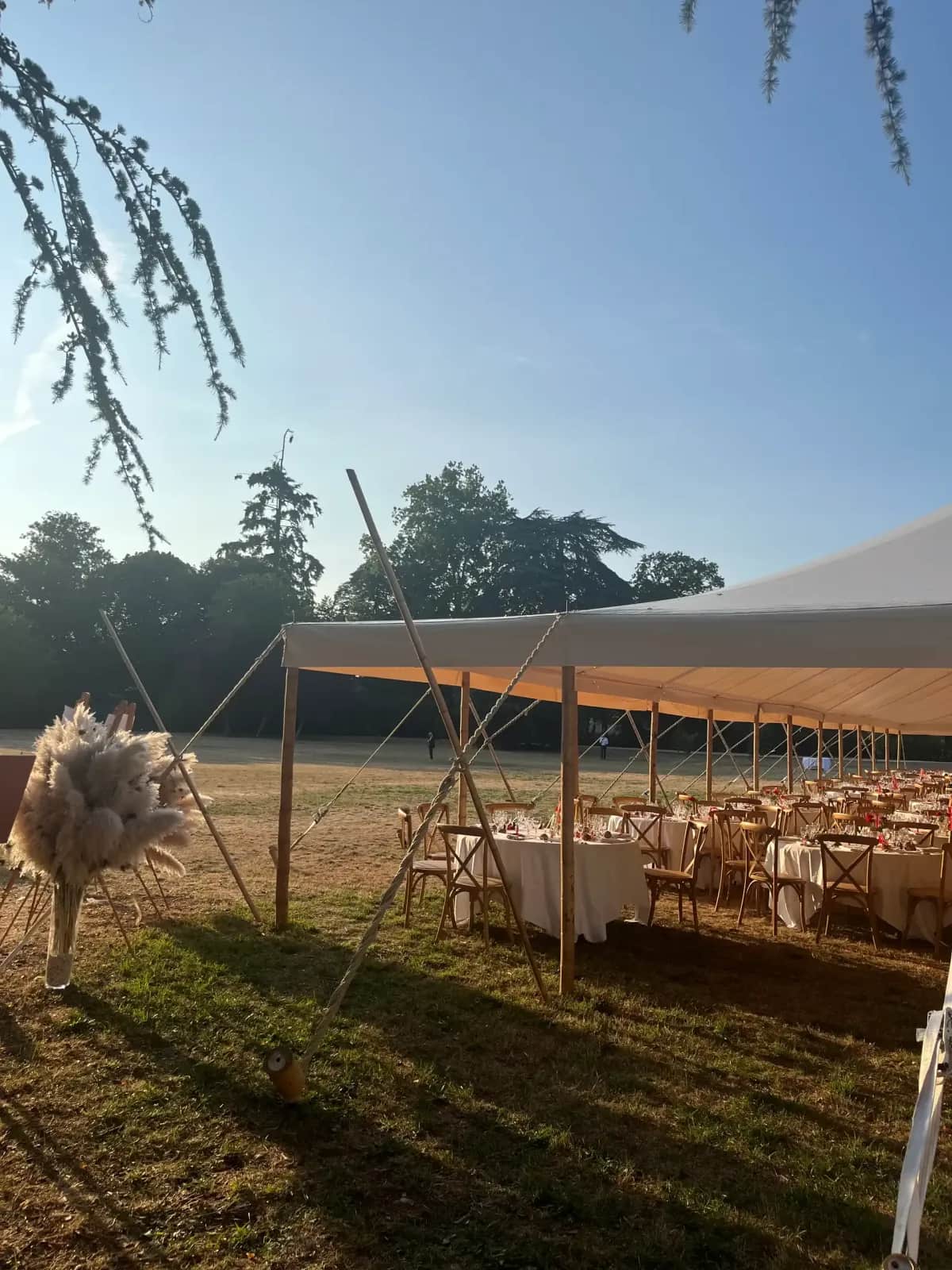 Bamboo marquee in late-afternoon light in the grounds of a château, pampas grass at the entrance and long dressed tables inside
